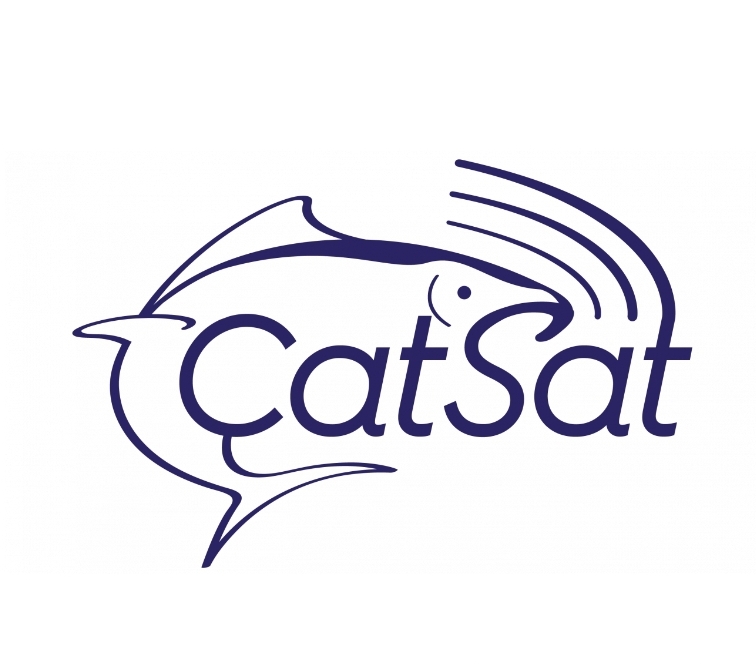 Логотип CATSAT 