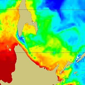 Цветная карта температуры морской поверхности